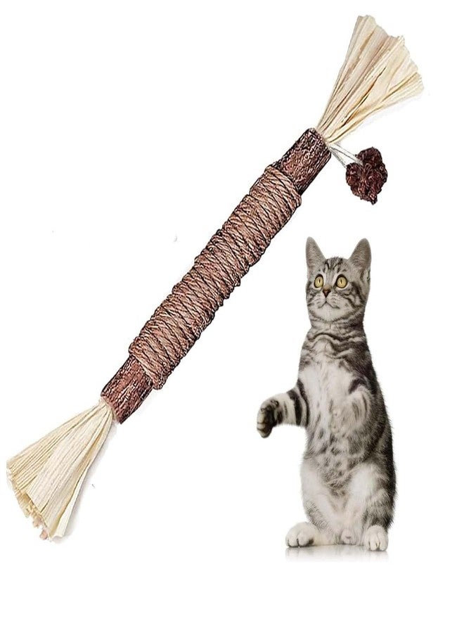 Homeaura Silvervine Cat Toy - 1 Pack, Natural Matatabi Sticks for Indoor Cats, Kitten Chew Toys, Aggressive Chewers, Dental Toy for Kitten Teeth Cleaning - Image 1
